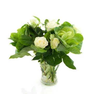 White roses Stock Photos