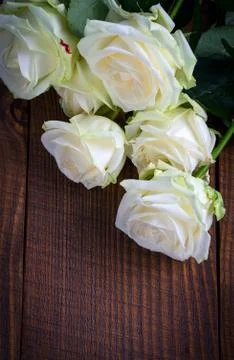 White roses Stock Photos