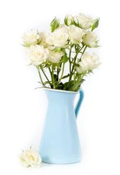 White roses Stock Photos