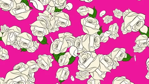 White Roses on Pink Stock Footage 244661206