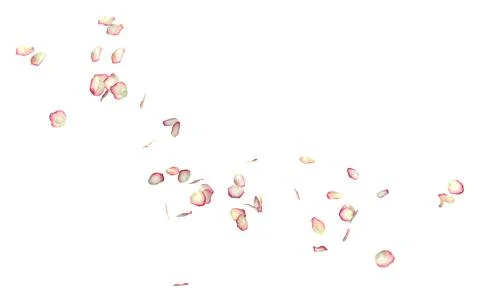 White roses with red borders fly in the air Stock Illustration