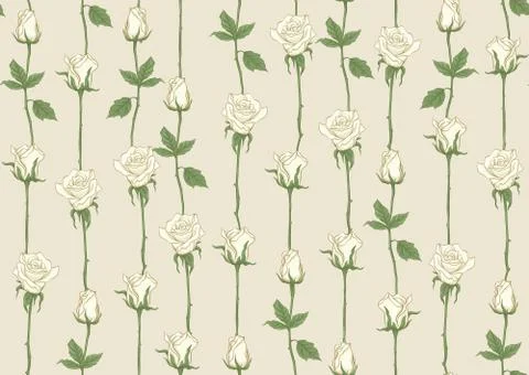 White roses seamless pattern, background. Stock Illustration