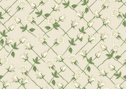White roses seamless pattern, background. Stock Illustration
