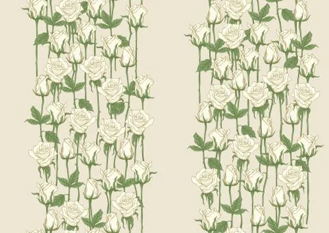 White roses seamless pattern, background. Stock Illustration
