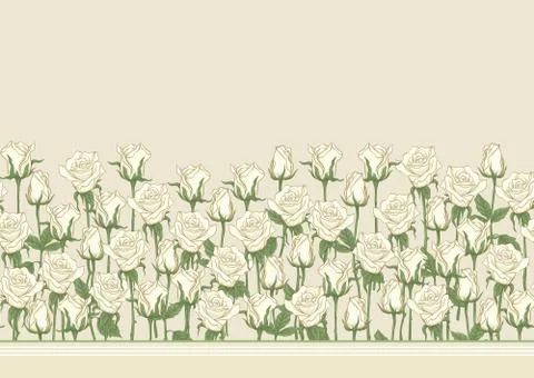 White roses seamless pattern, background. Stock Illustration