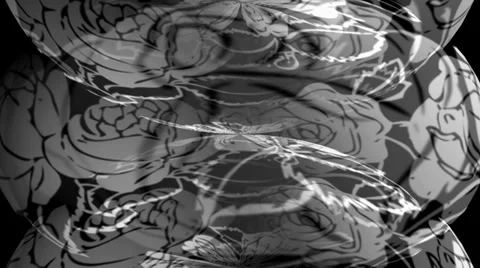 White Roses Spin 2 Видео 34294410