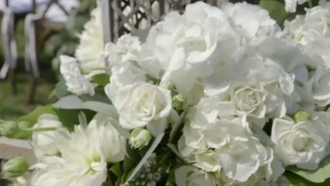 White roses tilt up Stock Footage 81044454