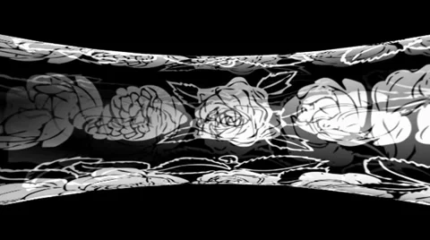 White Roses Tube Stockbeeldmateriaal 34294501