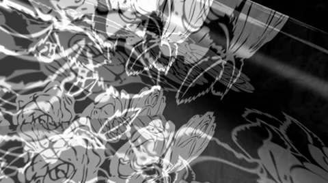 White Roses Turning Stock Footage 34294670