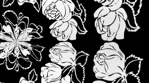 White Roses Warp Stockbeeldmateriaal 34294348