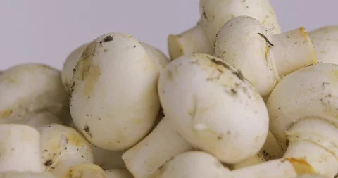 White rotating mushrooms on a white background, 3 shots Stock Footage 129432953