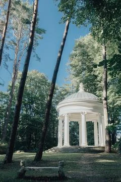 White Rotunda in a Forest Clearing Stock Photos