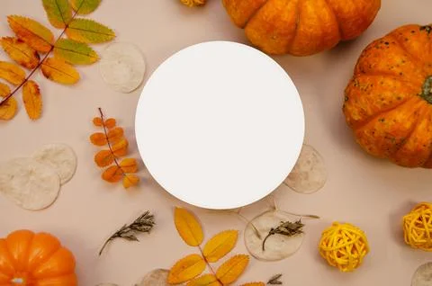 White round close-up horizontal  copyspace on eco background  yellow and orange 스톡 사진