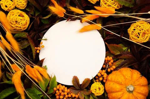 White round copyspace on  replete bright background of yellow and orange leaves, Stock Photos