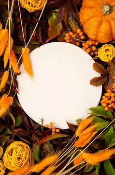 White round copyspace on  replete bright background of yellow and orange leaves, 스톡 사진