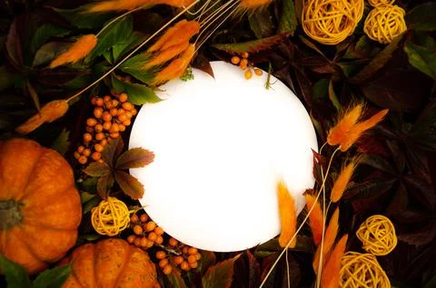 White round copyspace on  replete bright background of yellow and orange leaves, Stock Photos