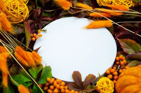 White round copyspace on  replete bright background of yellow and orange leaves, Stock Photos