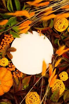 White round copyspace on  replete bright background of yellow and orange leaves, Stock Photos