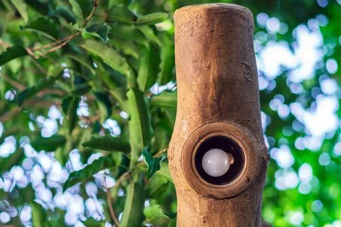 White round LED light bulb with small gecko inside faux wood pillar. Small .. Stock Photos