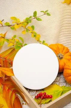 White round template round mockup on a background in yellow orange red tones 스톡 사진