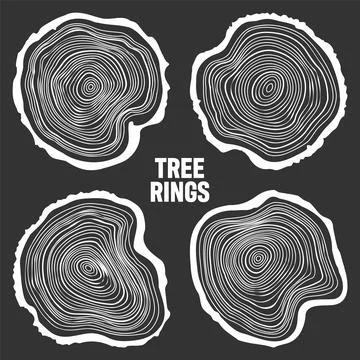 White round tree trunk cuts, sawn pine or oak slices, lumber. Saw cut timber Stock Illustration