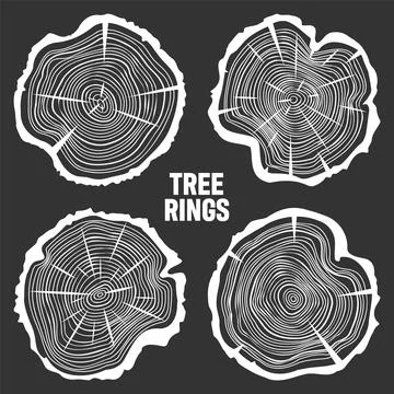 White round tree trunk cuts with cracks, sawn pine or oak slices, lumber. Saw Stock Illustration