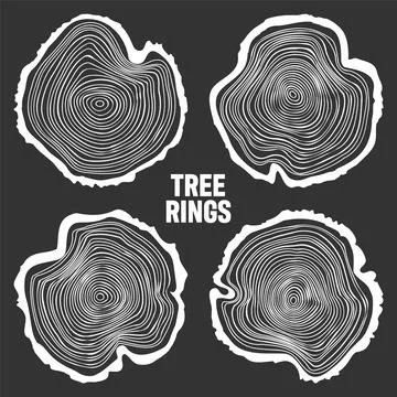 White round tree trunk cuts, sawn pine or oak slices, lumber. Saw cut timber Stock Illustration