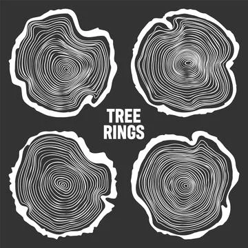 White round tree trunk cuts, sawn pine or oak slices, lumber. Saw cut timber Stock Illustration