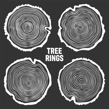 White round tree trunk cuts, sawn pine or oak slices, lumber. Saw cut timber Illustrazione stock