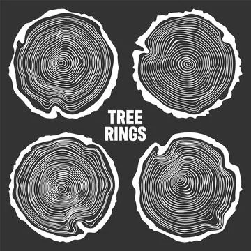 White round tree trunk cuts, sawn pine or oak slices, lumber. Saw cut timber Stock Illustration