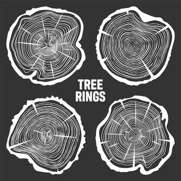 White round tree trunk cuts with cracks, sawn pine or oak slices, lumber. Saw Illustrazione stock