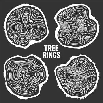 White round tree trunk cuts, sawn pine or oak slices, lumber. Saw cut timber Stock Illustration