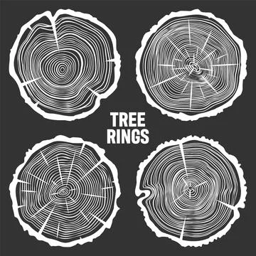 White round tree trunk cuts with cracks, sawn pine or oak slices, lumber. Saw Stock Illustration