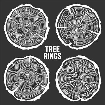 White round tree trunk cuts with cracks, sawn pine or oak slices, lumber. Saw Stock Illustration