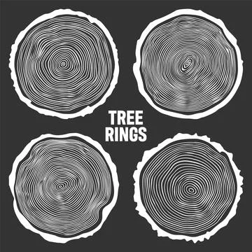 White round tree trunk cuts, sawn pine or oak slices, lumber. Saw cut timber Stock Illustration