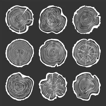 White round tree trunk cuts with cracks, sawn pine or oak slices, lumber. Saw Stock Illustration