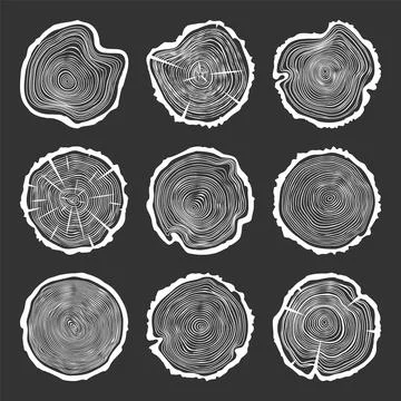 White round tree trunk cuts with cracks, sawn pine or oak slices, lumber. Saw Illustrazione stock