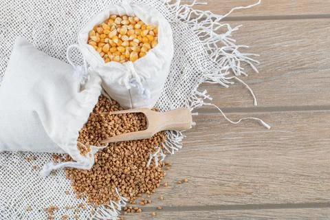 A white sack full of corn grains on a gray background Stock Photos