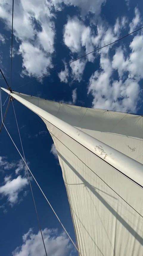White sail Stock Footage 156164654