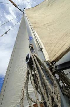 White sail Stock Photos