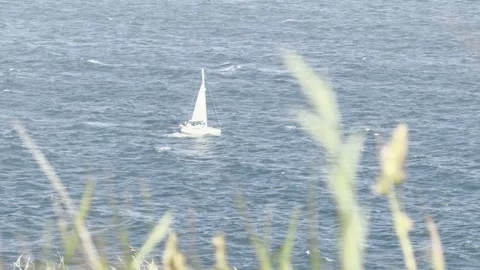 White sailboat crossing rough ocean waters 4K Stock Footage 336517544
