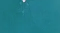White sailing boat with couple at bow swimming down turquoise ocean, freedom 4k or 4k+ Resolution