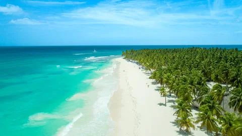 White Sand and Coconut Palms on Isla Saona, Caribbean Coastline Stock Photos