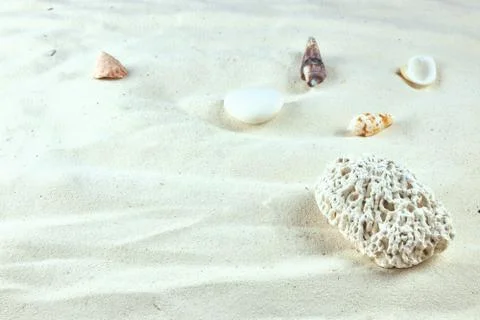White Sand and shells. the background of the sea beach. vertical view, close- Stock Photos