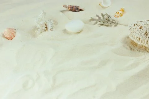 White Sand and shells. the background of the sea beach. vertical view, close- Stock Photos