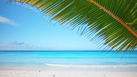 White sand beach and clear blue sky on exotic tropical island Stock Footage 285657505