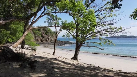 White Sand Beach Stock Footage 170710014