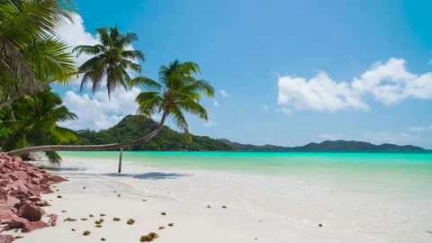 White Sand Beach With Palm Trees, Seychelles Stock Footage 163825835