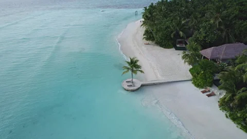 White sand beach with palm trees in the Maldives Stock Footage 241912752