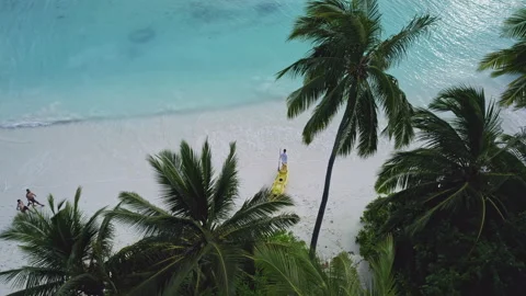 White sand beach with palm trees in the Maldives Stock Footage 252850110
